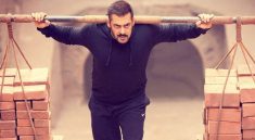 فیلم هندی سلطان (Sultan)